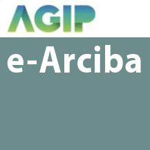 AGIP e-Arciba — CABA